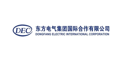 Dongfang Electric International